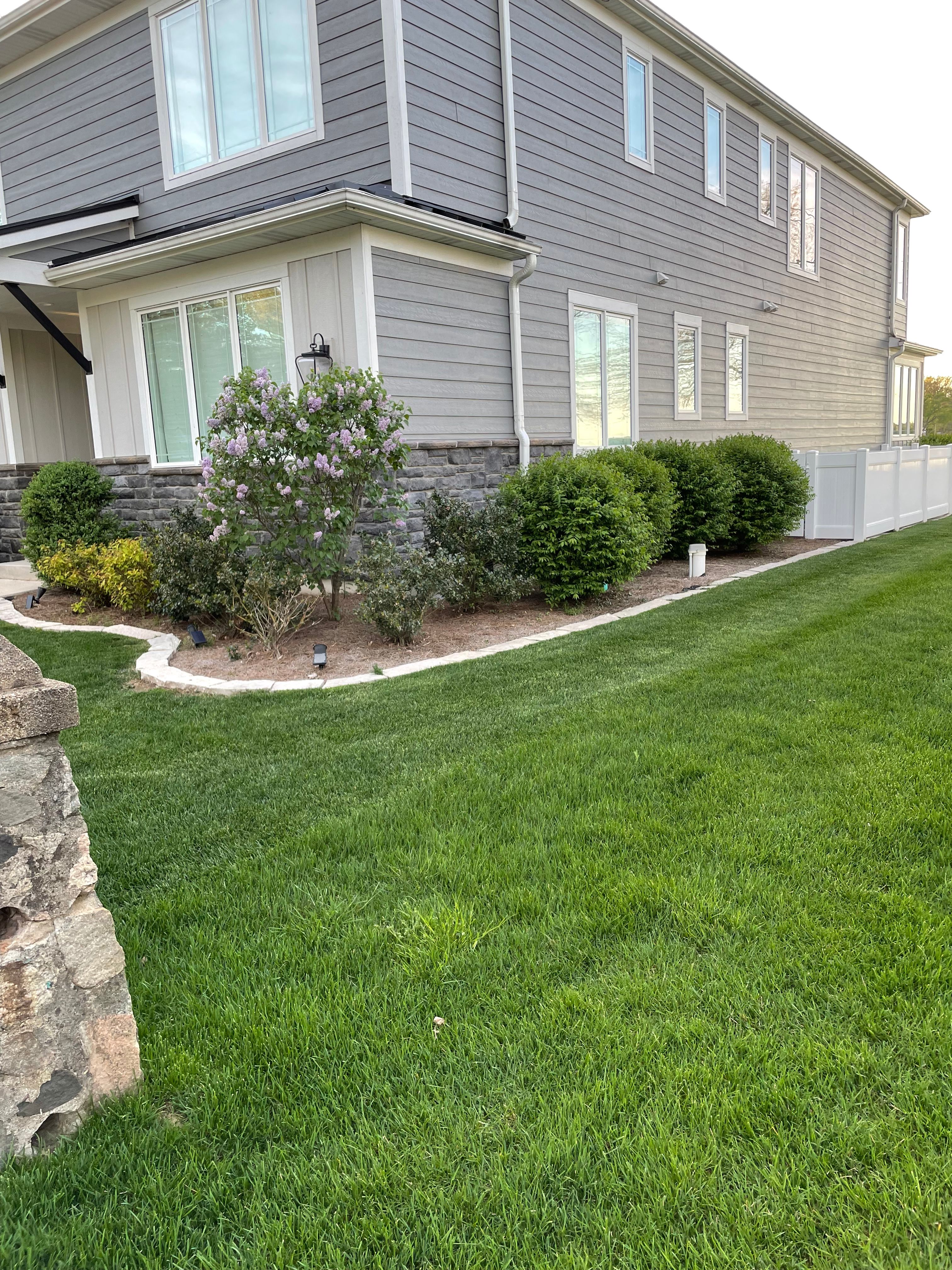 Basement finishing and renovation